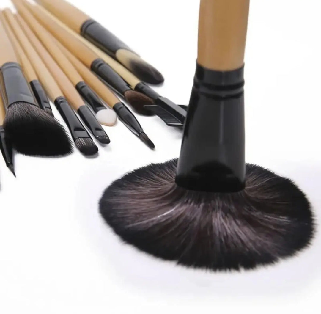 Pack of 24 Professional Makeup Brushes Set with Kit Pouch
