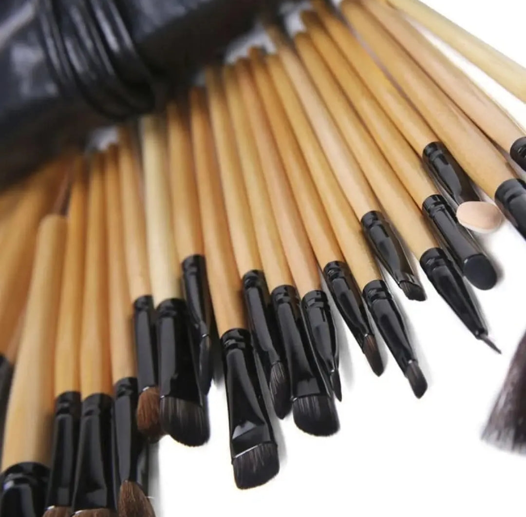 Pack of 24 Professional Makeup Brushes Set with Kit Pouch