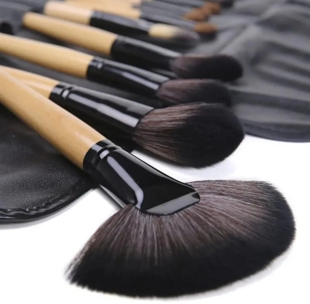 Pack of 24 Professional Makeup Brushes Set with Kit Pouch